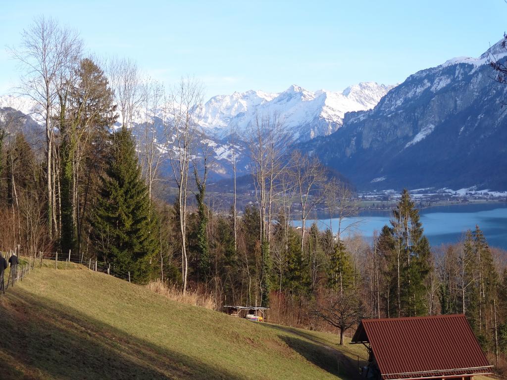 Seeli Hofstetten bei Brienz Camera foto