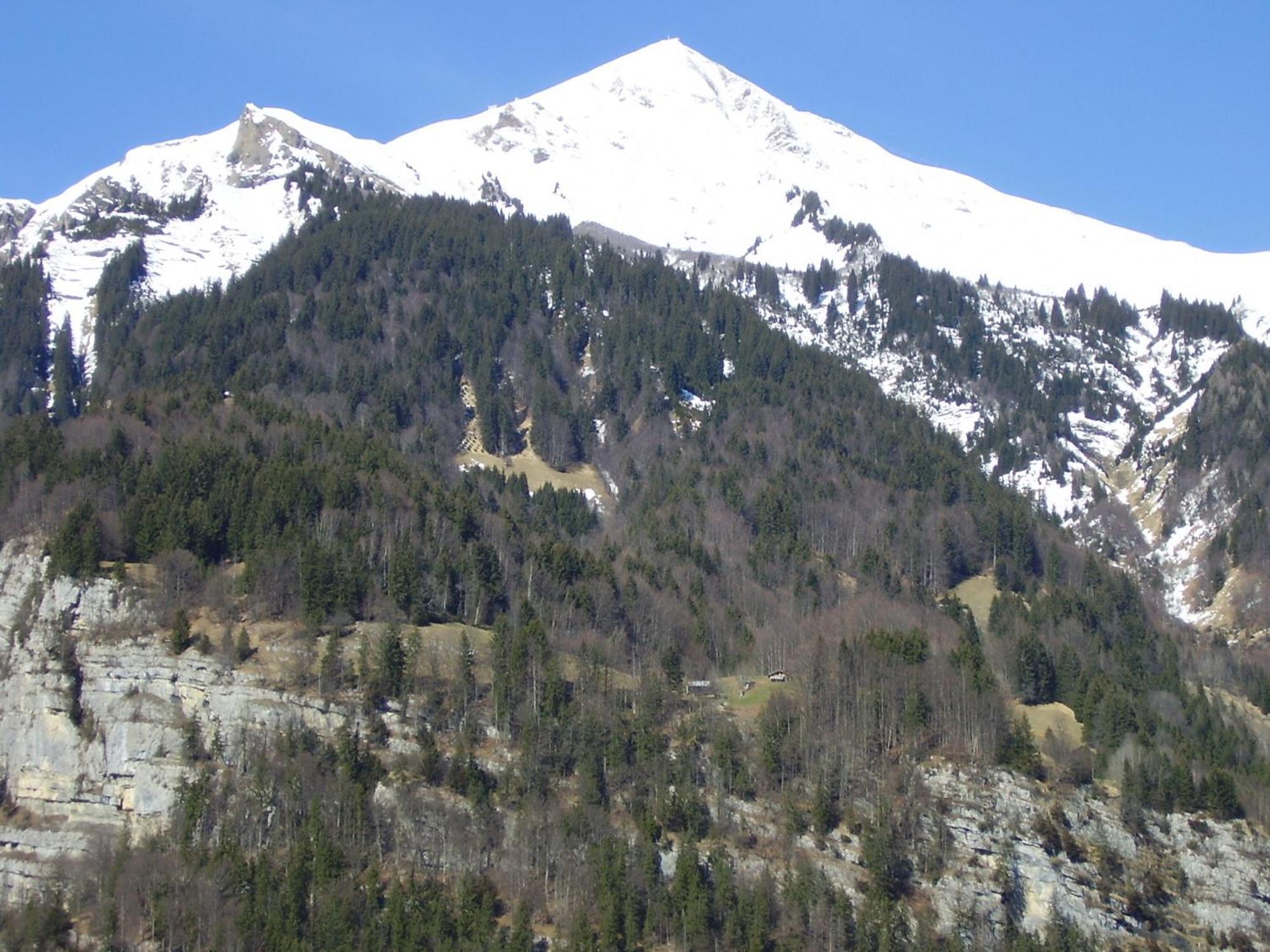 Seeli Hofstetten bei Brienz Esterno foto