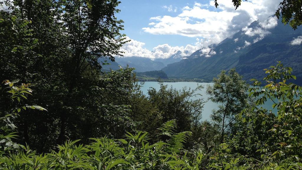 Seeli Hofstetten bei Brienz Camera foto